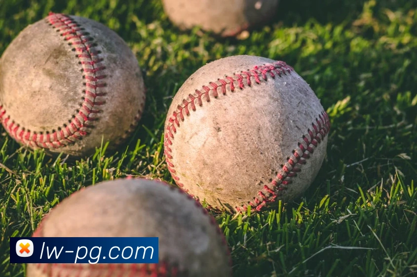 pg电子全站App pg电子全站App